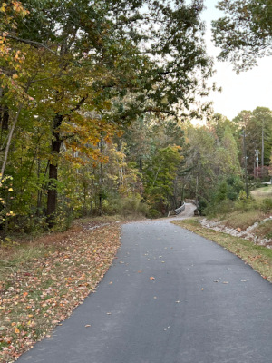 View of the greenway inside the wood (Credit: josh Holloman)